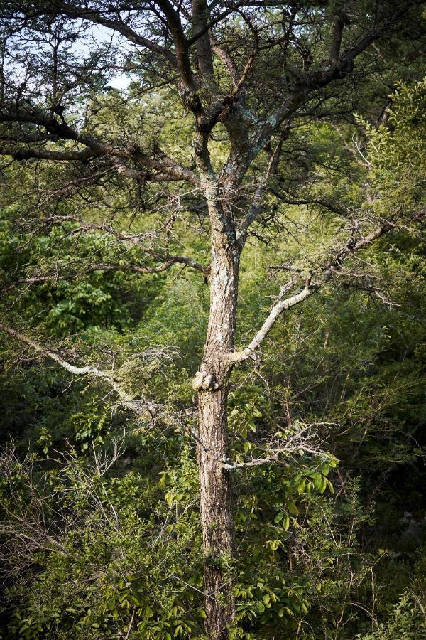 Letamo At Qwabi Private Game Reserve By Newmark Bela-Bela Eksteriør bilde